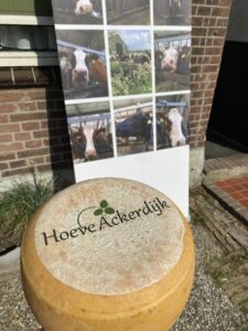 Biologische kaas van Hoeve Ackerdijk – ambachtelijk en lokaal uit Schipluiden